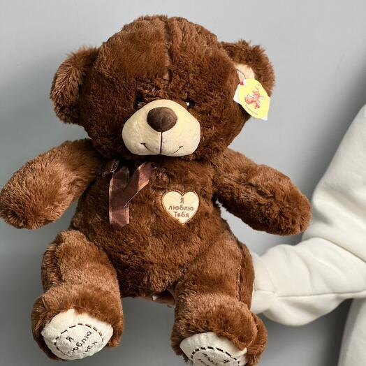 Teddy bear toy