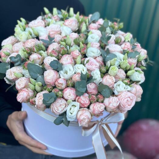 Пионовидная Роза Бомбастик в коробке