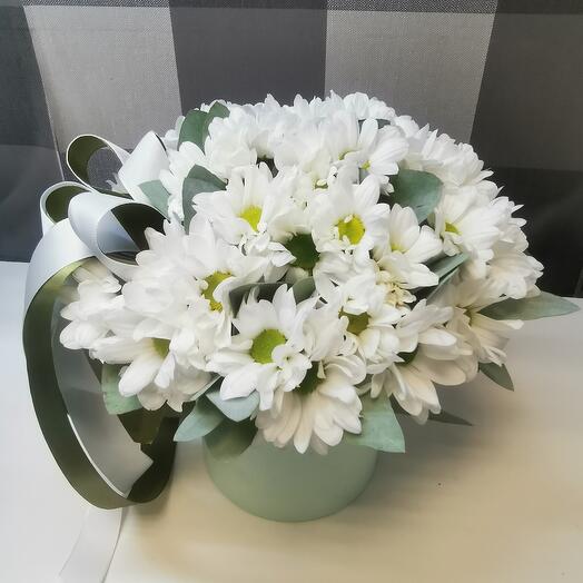 Flowers in a box Chamomile