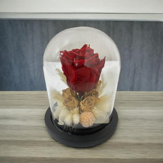 Forever Bloom- Timeless Preserved Red Rose in Glass Dome – Lasting Beauty