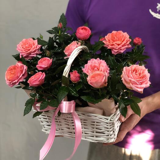 Композиция из живых роз в плетеной корзиночке