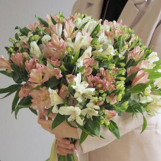Bukiet - Alstroemeria  koliorowa
