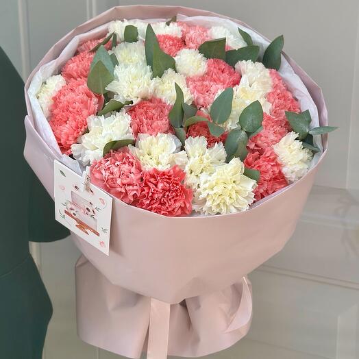 Диантусы 35 штук