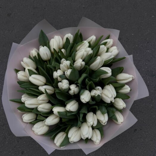 51 tulipanes blancos