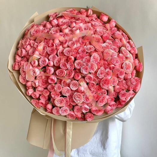 101 пионовидная спрей роза