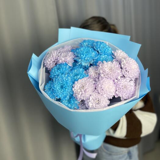 5 микс кустовых хризантем Алтай