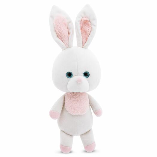 Little bunny