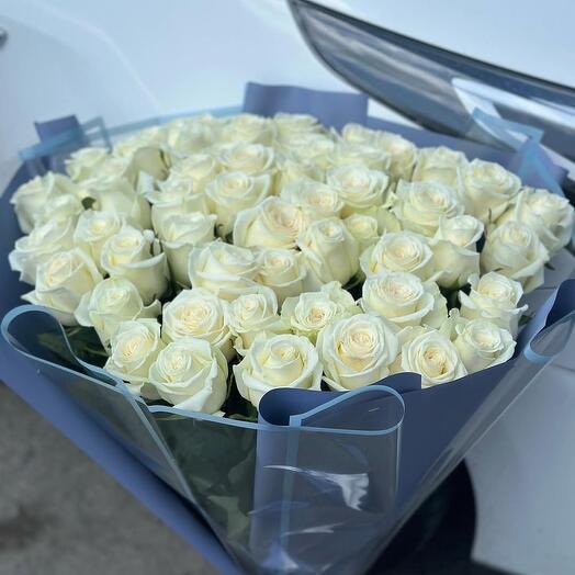 51 white roses