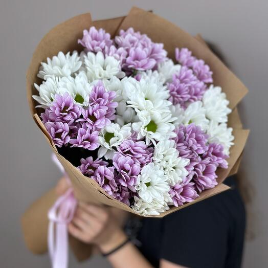 Bouquet of white and pink chamomile chrysanthemums