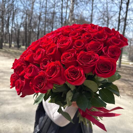 ✅51 Фридом