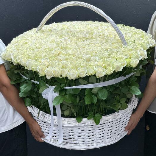 Корзина 301 белая роза