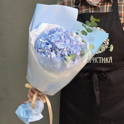 Букет комплимент из гортензии