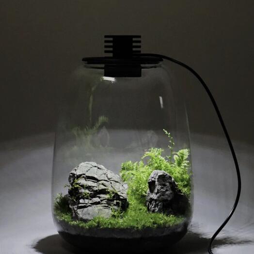Stone Gardener: future