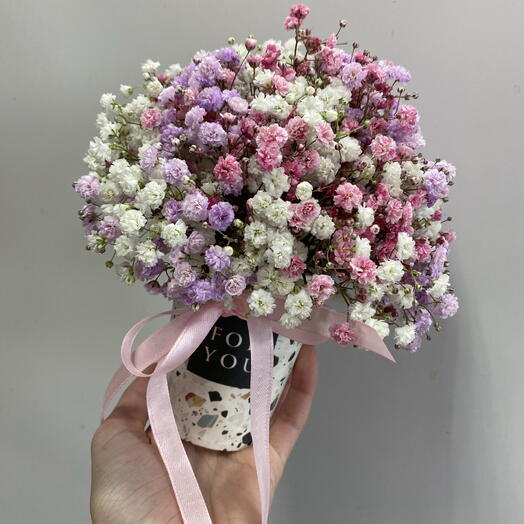 Гипсофила в стаканчике