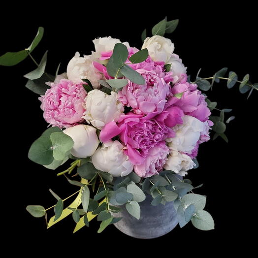 Peonies pink and white