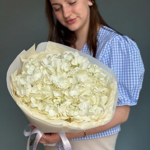 Моно из белых гортензий