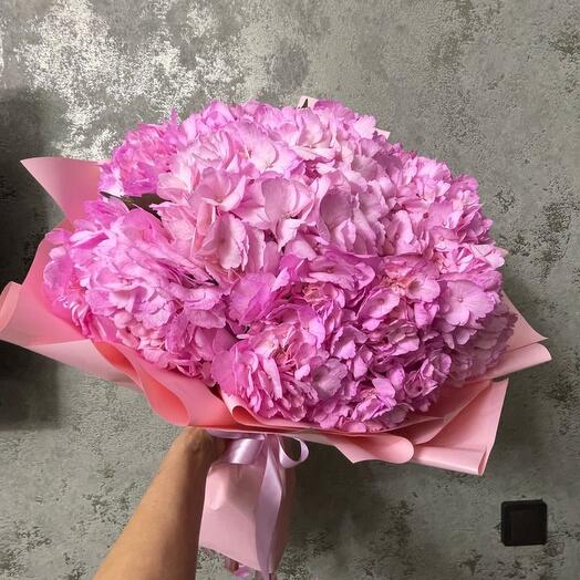 Гортензия с доставкой 💗