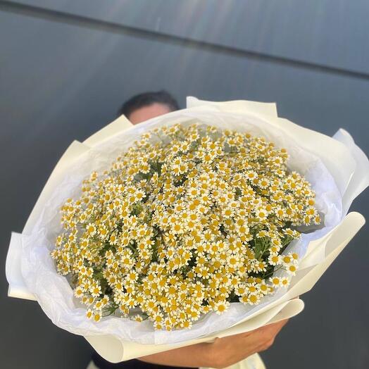 Ромашки «Нежное Поле»