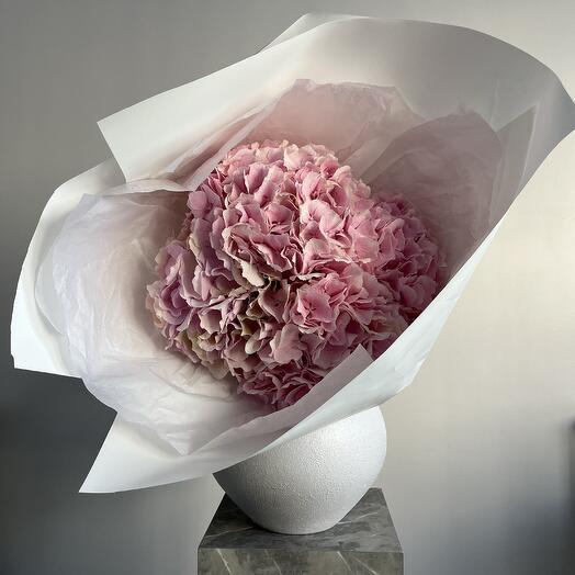 Hortensias roses