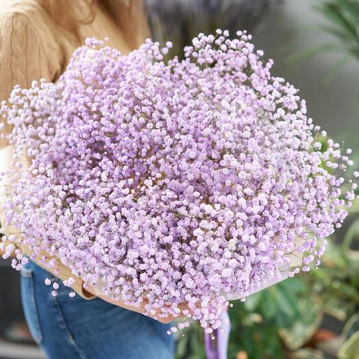 Bouquet "Rosa gypsholina"