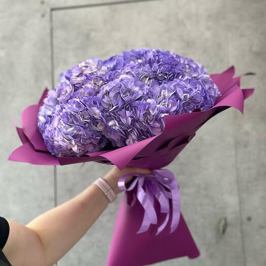 Гортензия фиолетовая фиалка 15