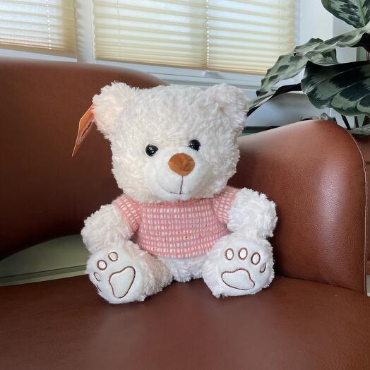 Плюшевый мишка 22 см