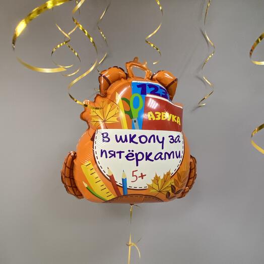 Шар рюкзак, портфель