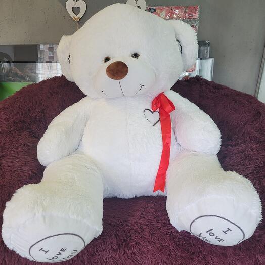 Белый медведь