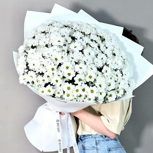 Букет кустовых хризантем, 25 шт
