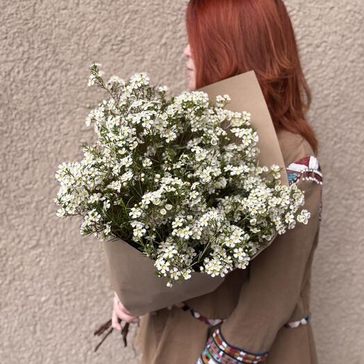 Букет из хамелациума