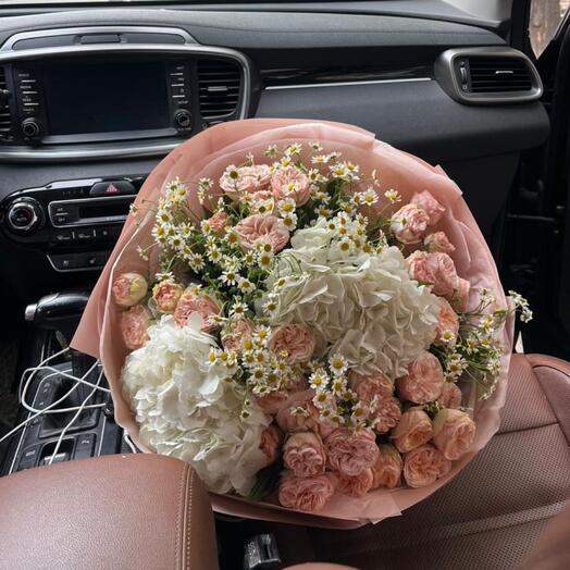 Elegancy🌸