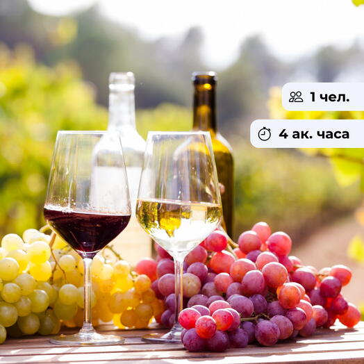Винная азбука. Мастер-класс с дегустацией вина