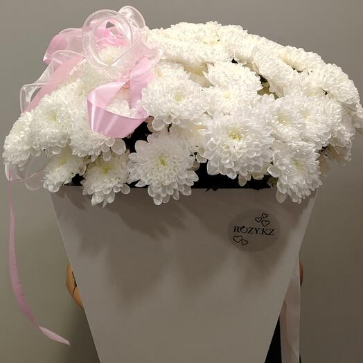 Хризантемы в переноске