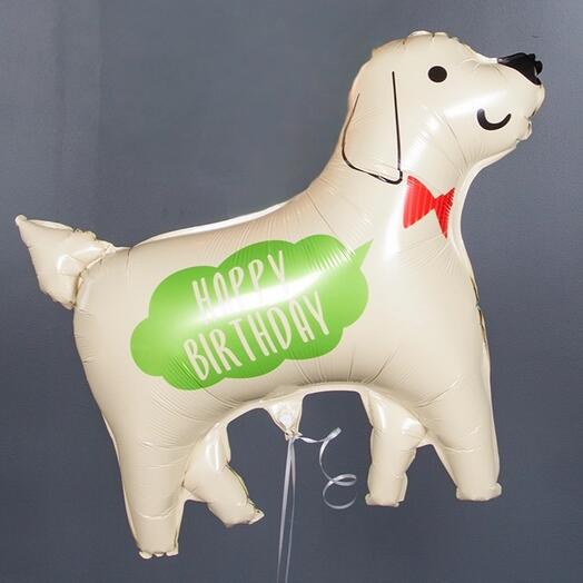 Воздушный шар "Пёс". Happy birthday