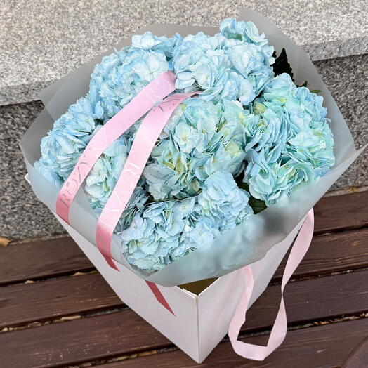 Букет из 7 голубых гортензий в переноске
