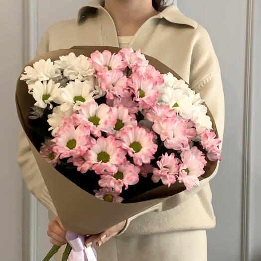 Ромашки 🌸 белая и розовая хризантема