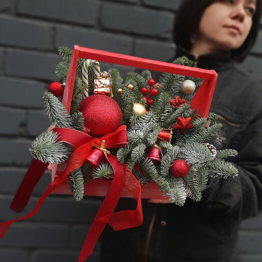 Новогодняя композиция из нобилиса