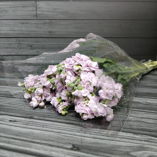 Пачка (5 шт.) Маттиола Розовый 50 см Арт. Fc04565c