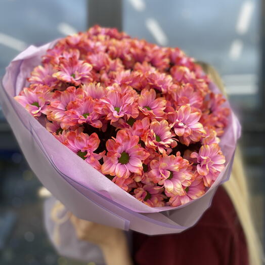 101 ромашка «Фаер Бол»