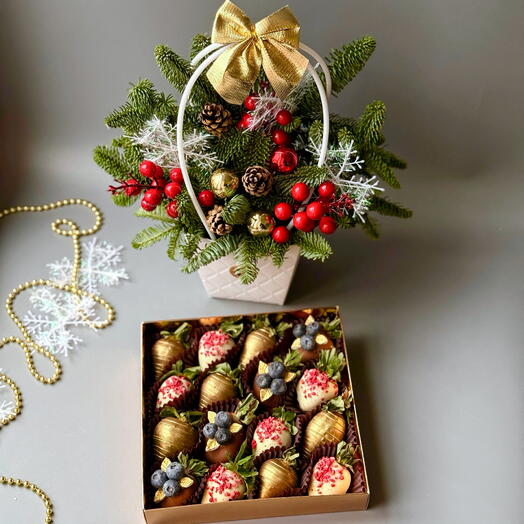 Клубника в бельгийском шоколаде Голубика и букет из ели (нобилиса)