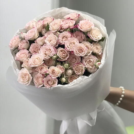 7 "Good Mood" кустовых пионовидных роз Гуд Муд