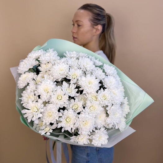Ажурная хризантема Алтай
