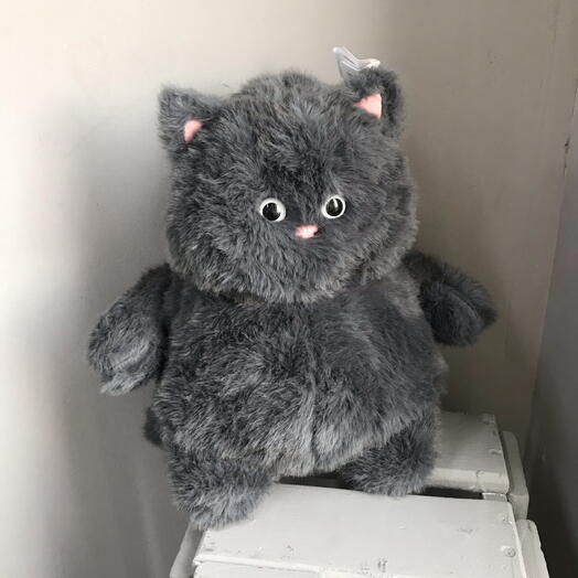 Серый кот