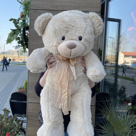 Большой плюшевый мишка 1