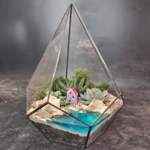 Florarium with succulents in a drop of M