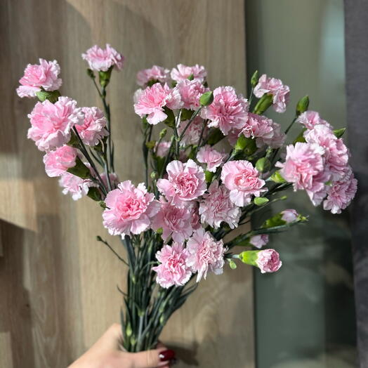 Букет из диантусов кустовых