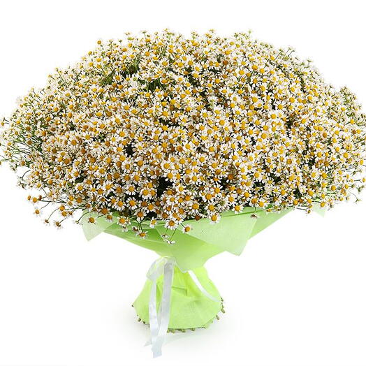 🌼🌼Букет 101 ромашка🌼🌼