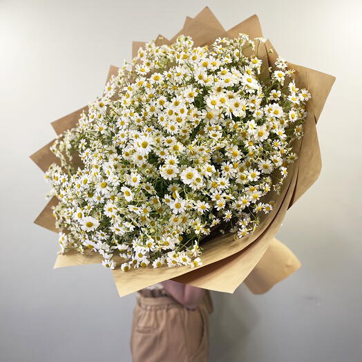 Sea of ​​daisies