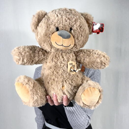 Мишутка коричневый 🧸