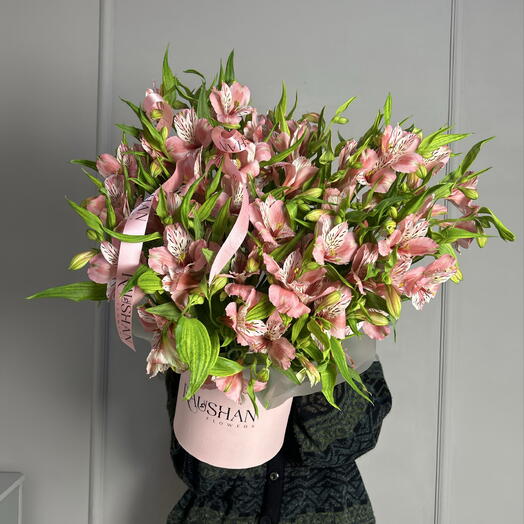 Alstroemeria in a box - size S